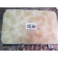 20-40南帶子 South Australia Scallops 20-40